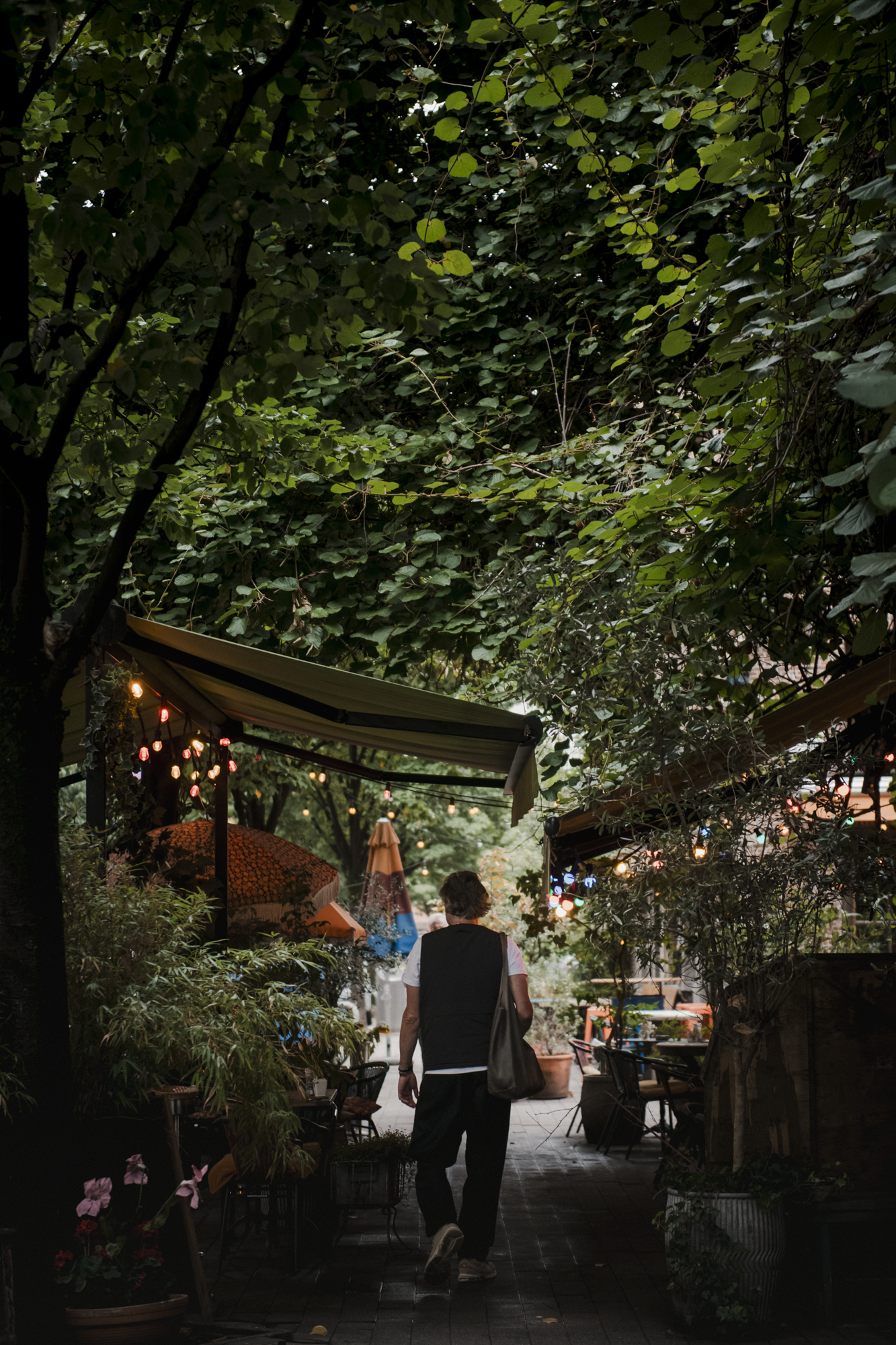 Antwerps straatje met veel groen en terras en lopende man
