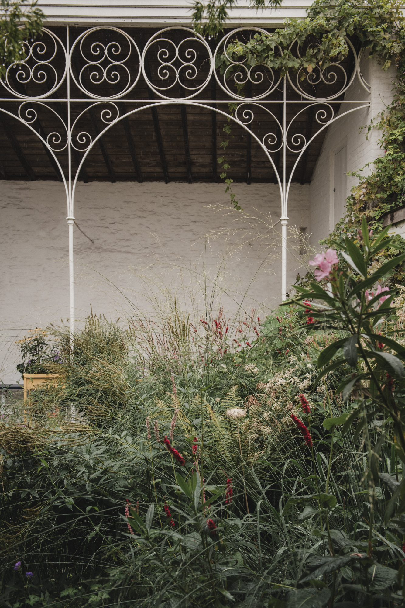 Botanisch binnenplaatsje met bogenveranda in Gent