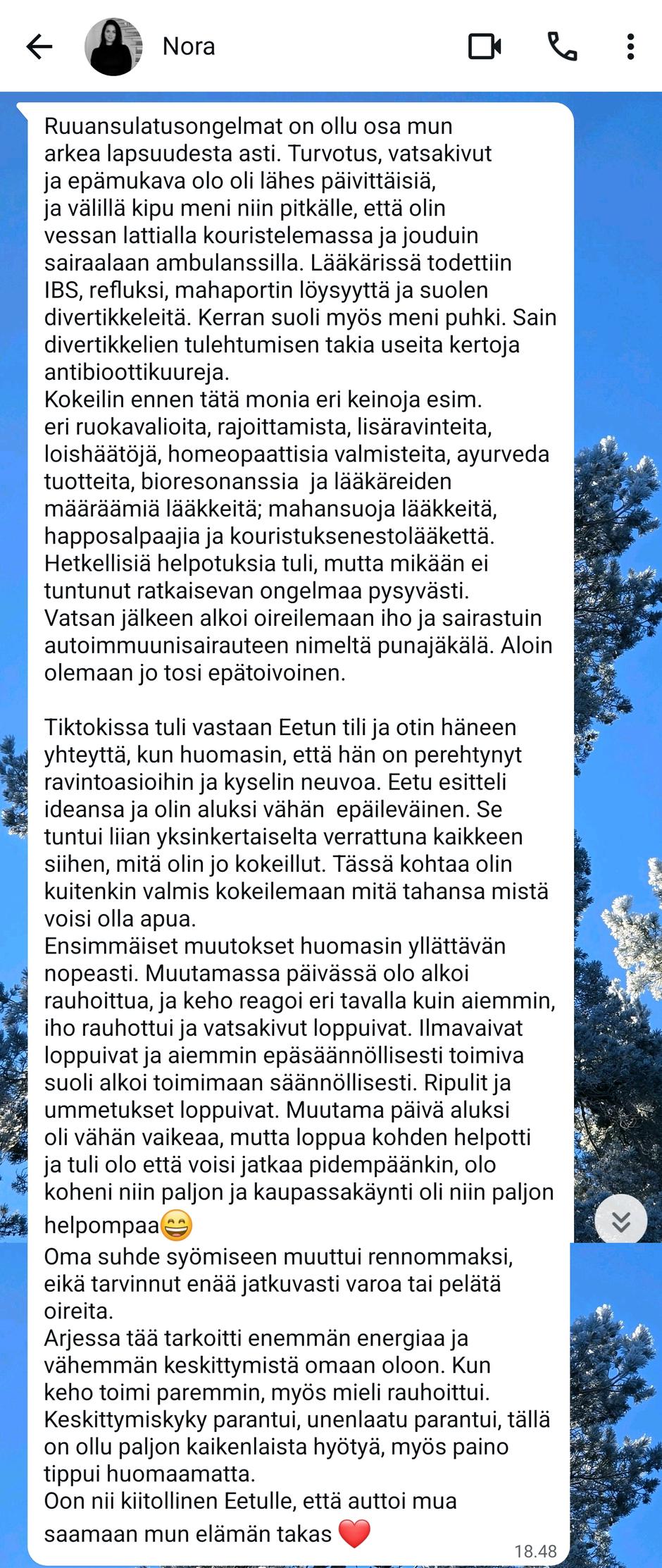Noran tarina omin sanoin