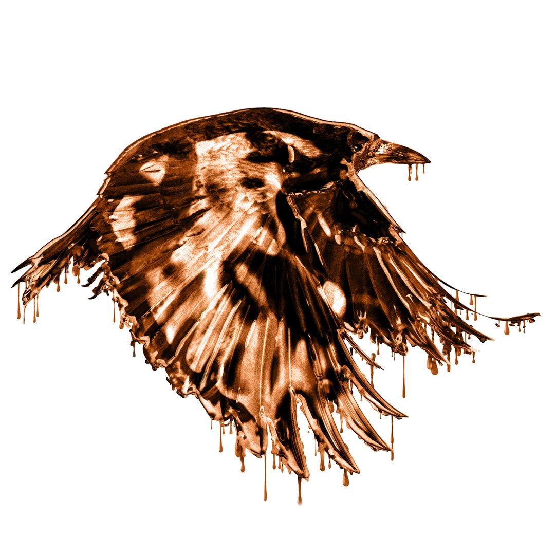 Copper Crow Ink