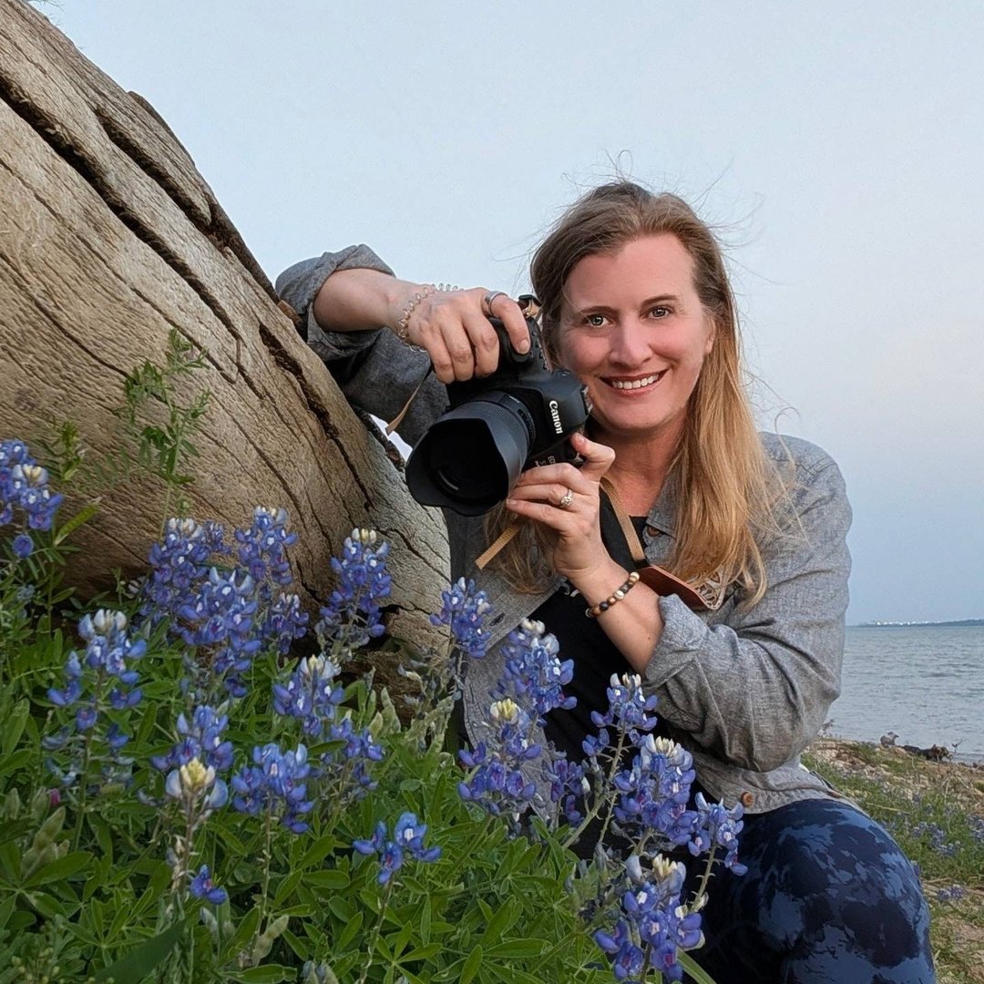 Driftwood and Bluebonnets