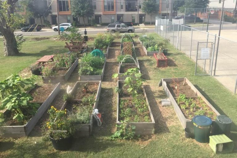 A photograph showing the early days of the vacant lot turning into the first Promise of Peace garden