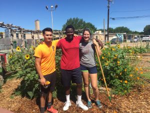 Bayles Elementary Garden