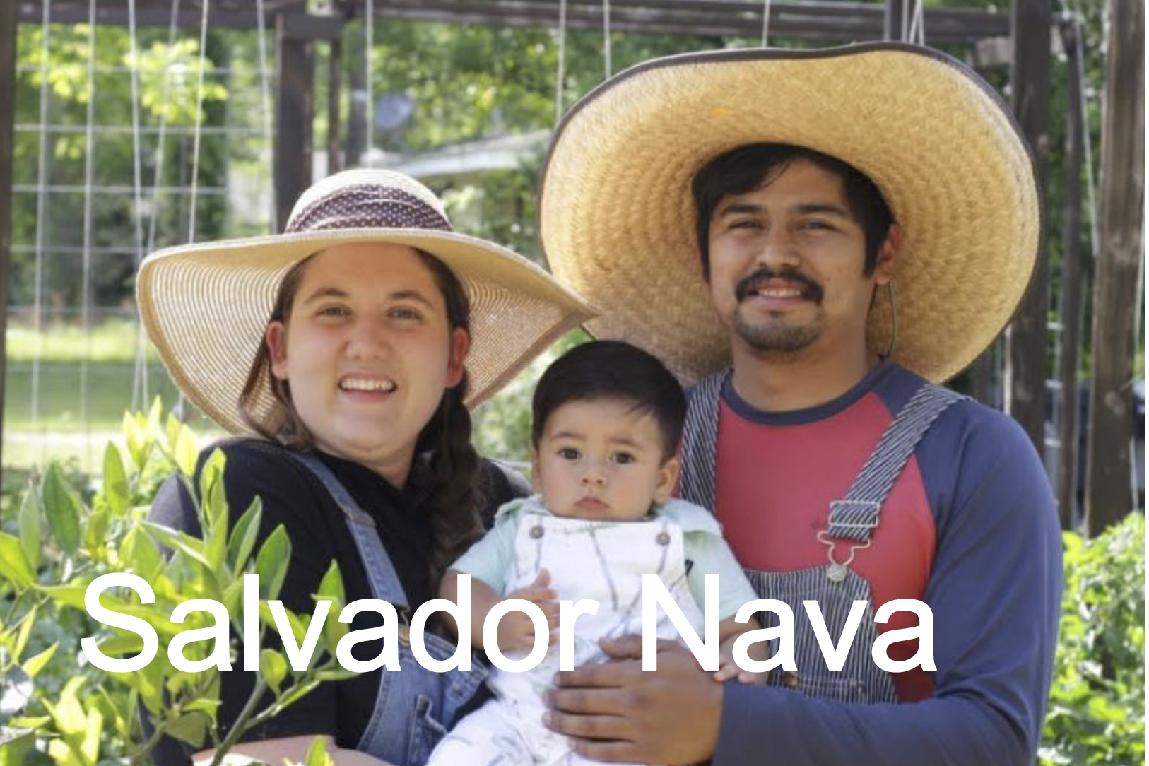 Salvador Nava, Promise of Peace web designer