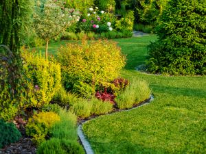 Irrigation in Duval county