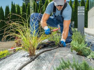 Irrigation in Ponte Vedra Beach , Fl