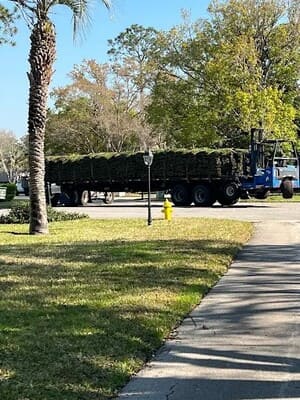 {{ custom_values.service_1 }} in {{custom_values.area_5})