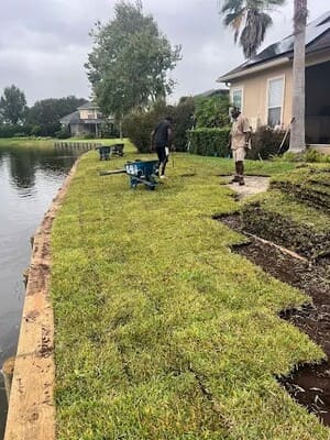 {{ custom_values.service_1 }} in {{custom_values.area_5})