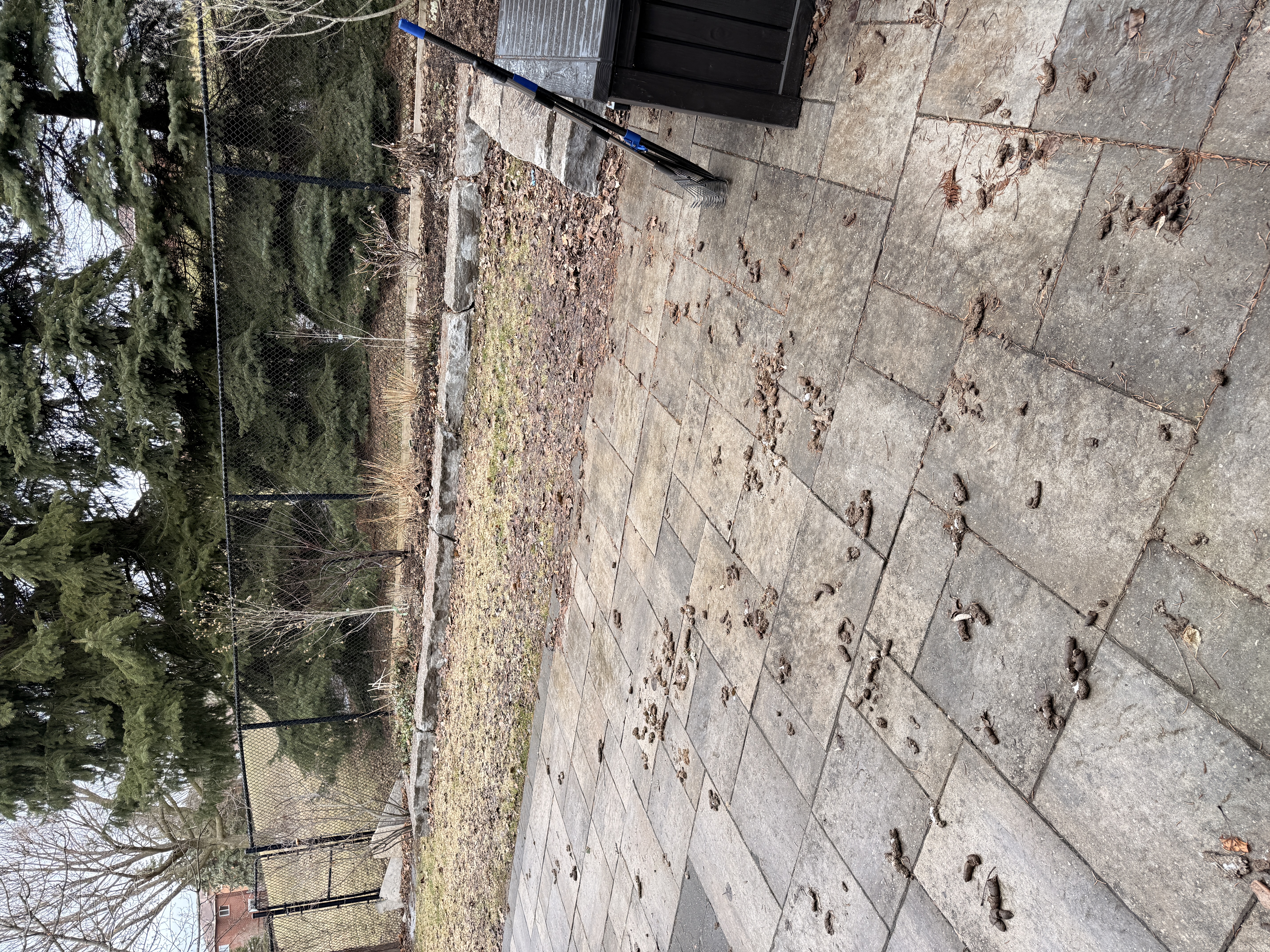 Stone patio before Legendary Scoop