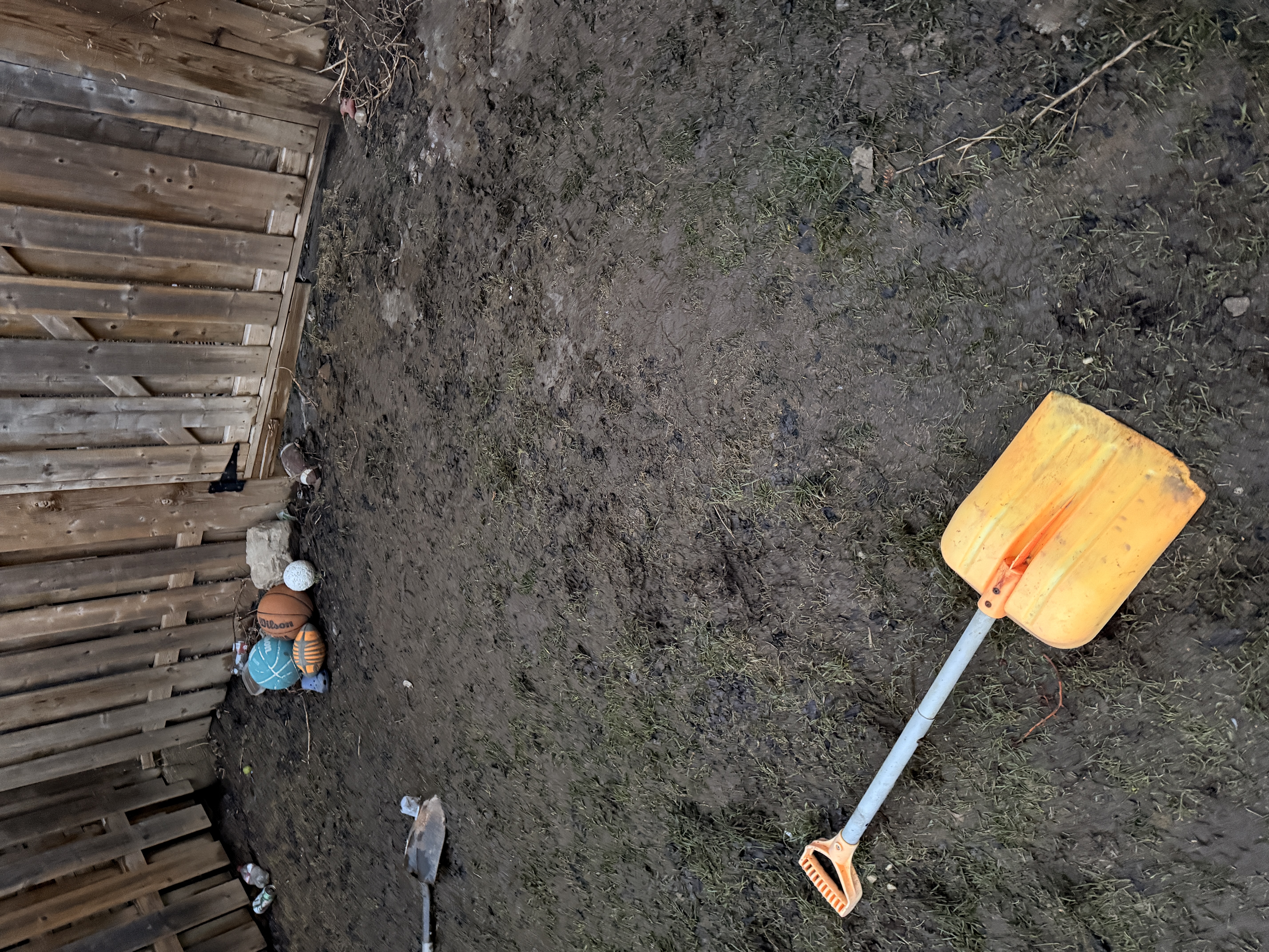 Backyard after Legendary Scoop