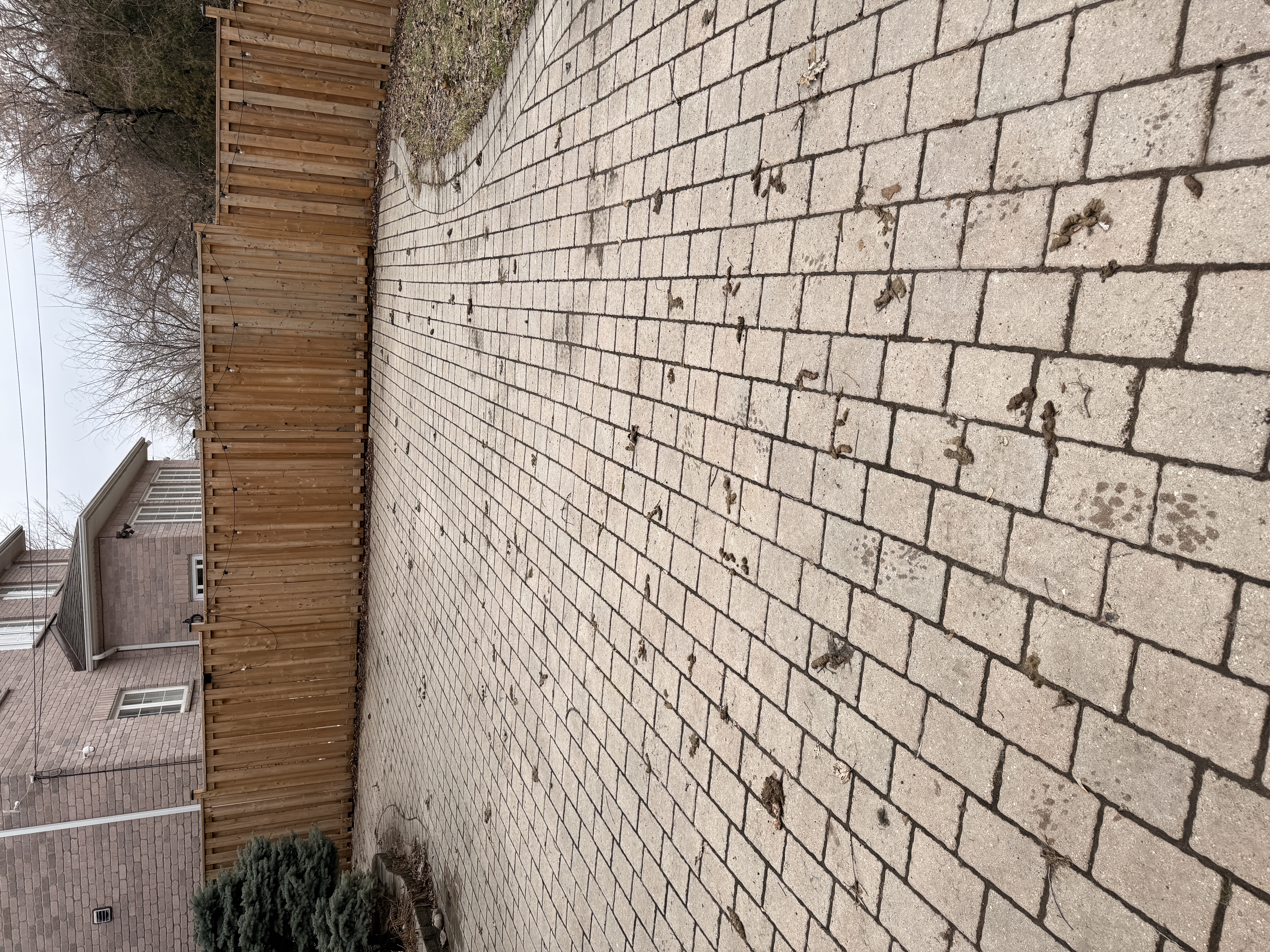 Interlock patio before Legendary Scoop