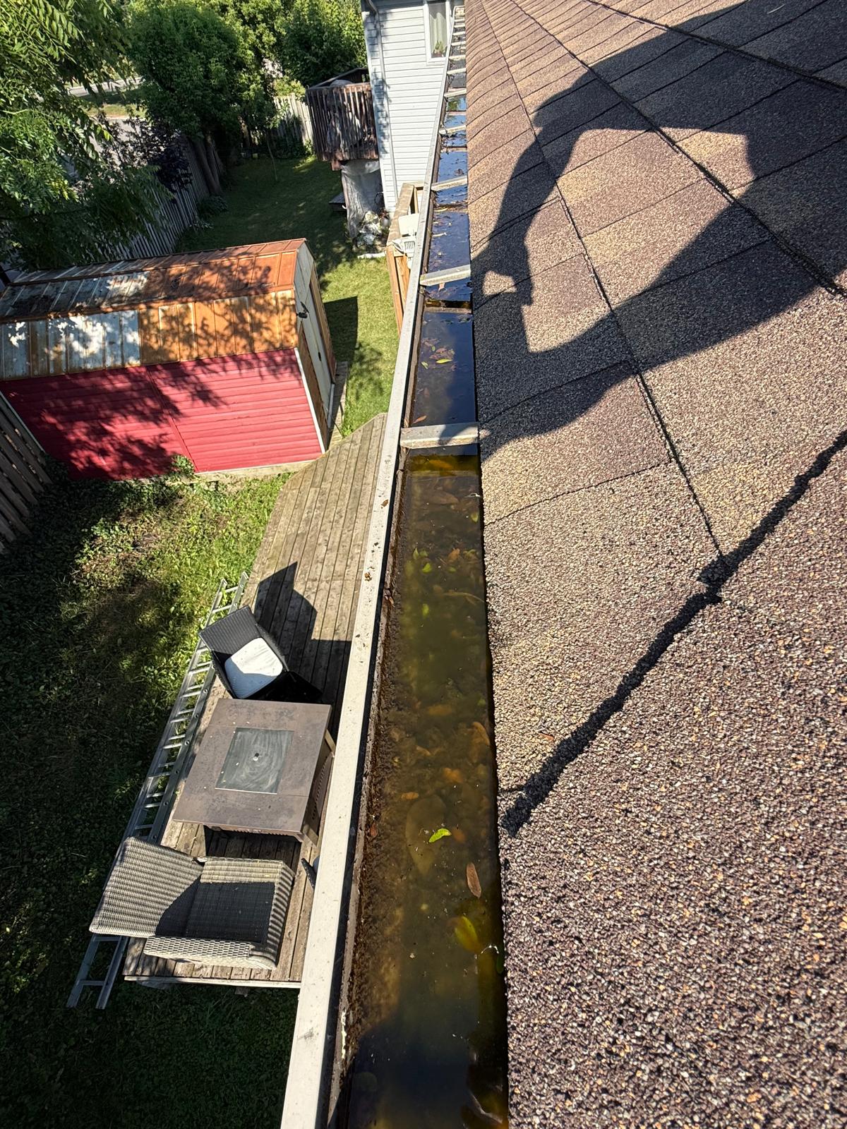 Roof Cleaning London