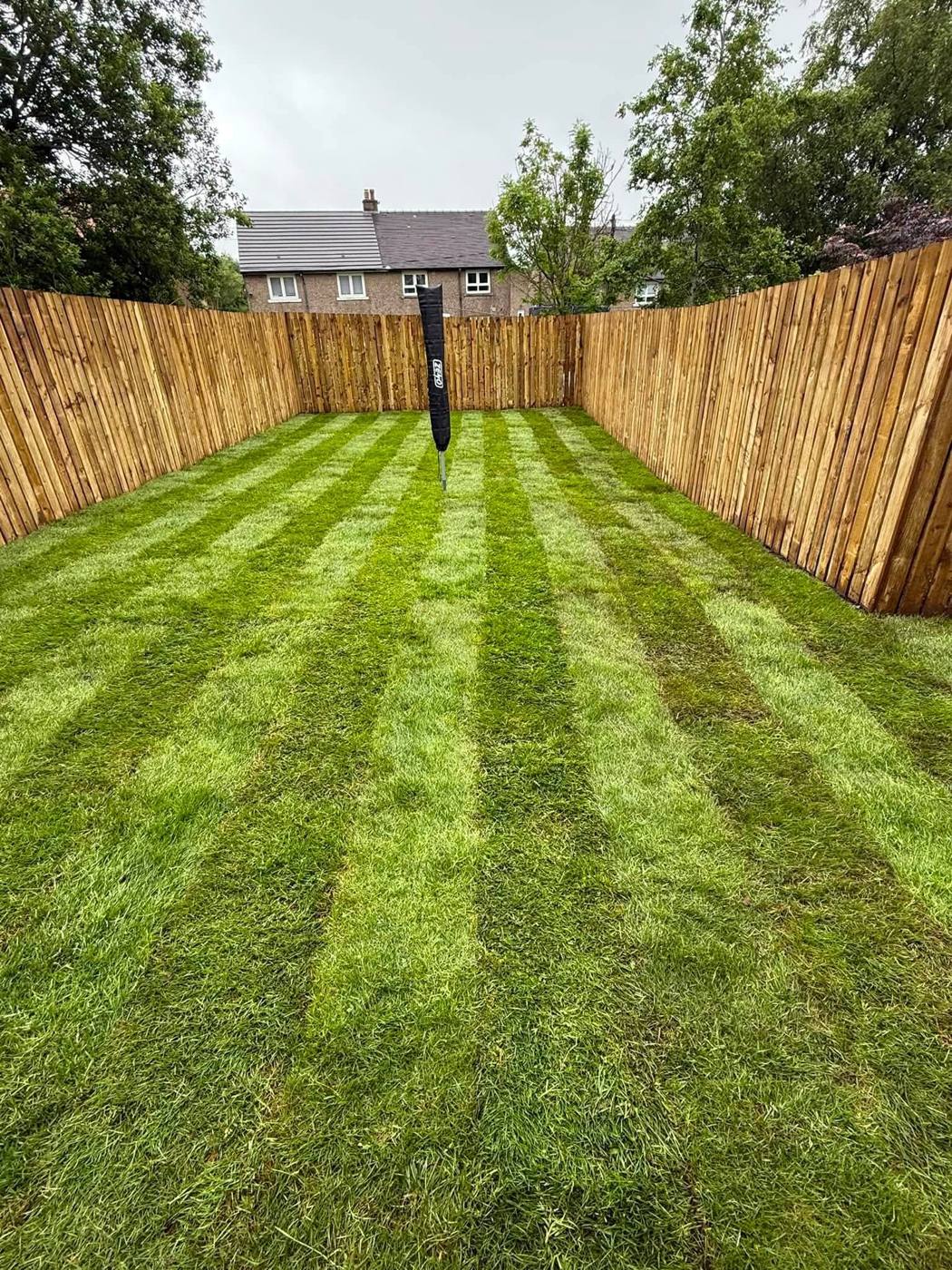 New turf lawn with striped finish and full timber fencing