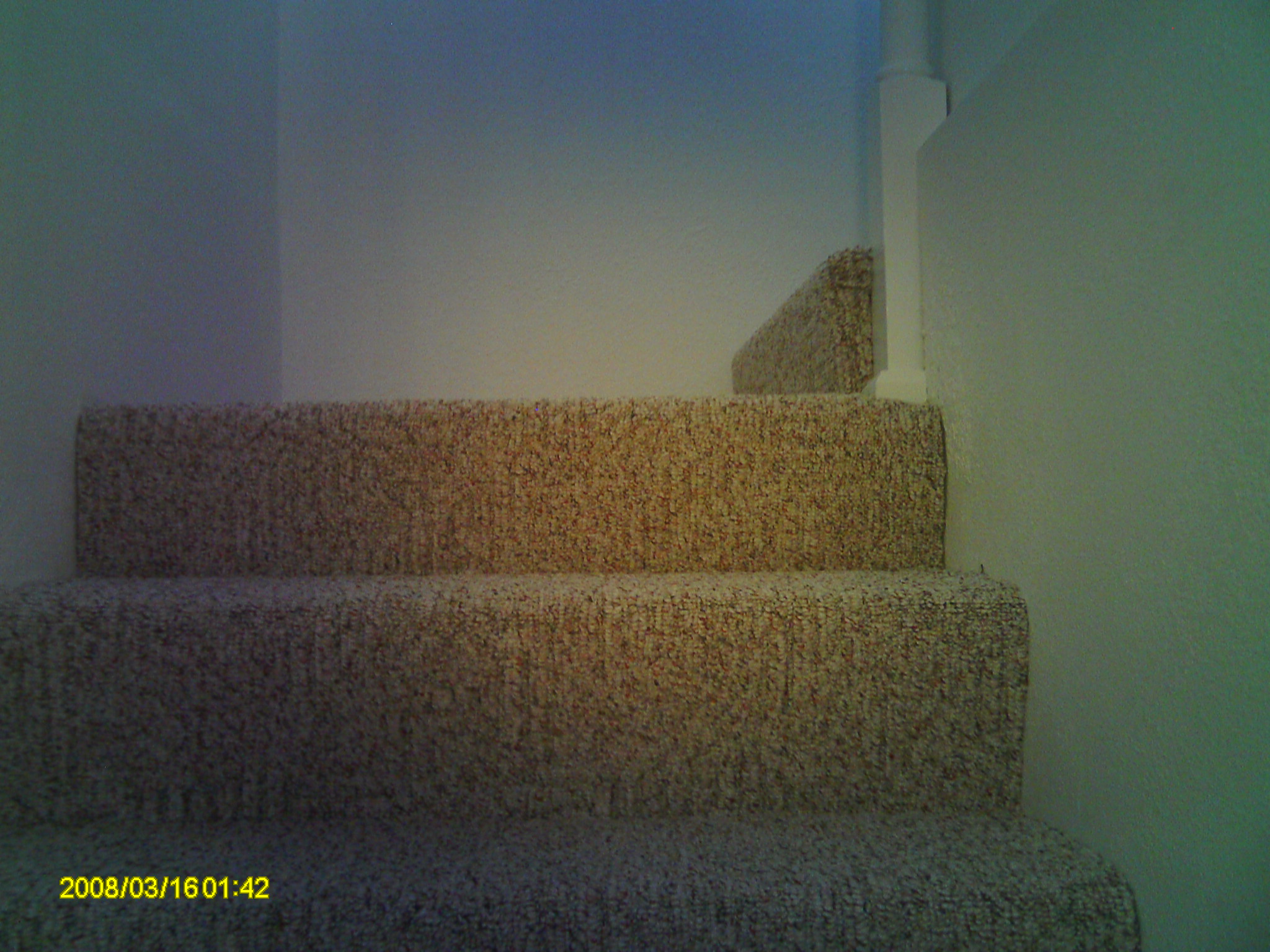 Shaw Firestar stair carpet runner