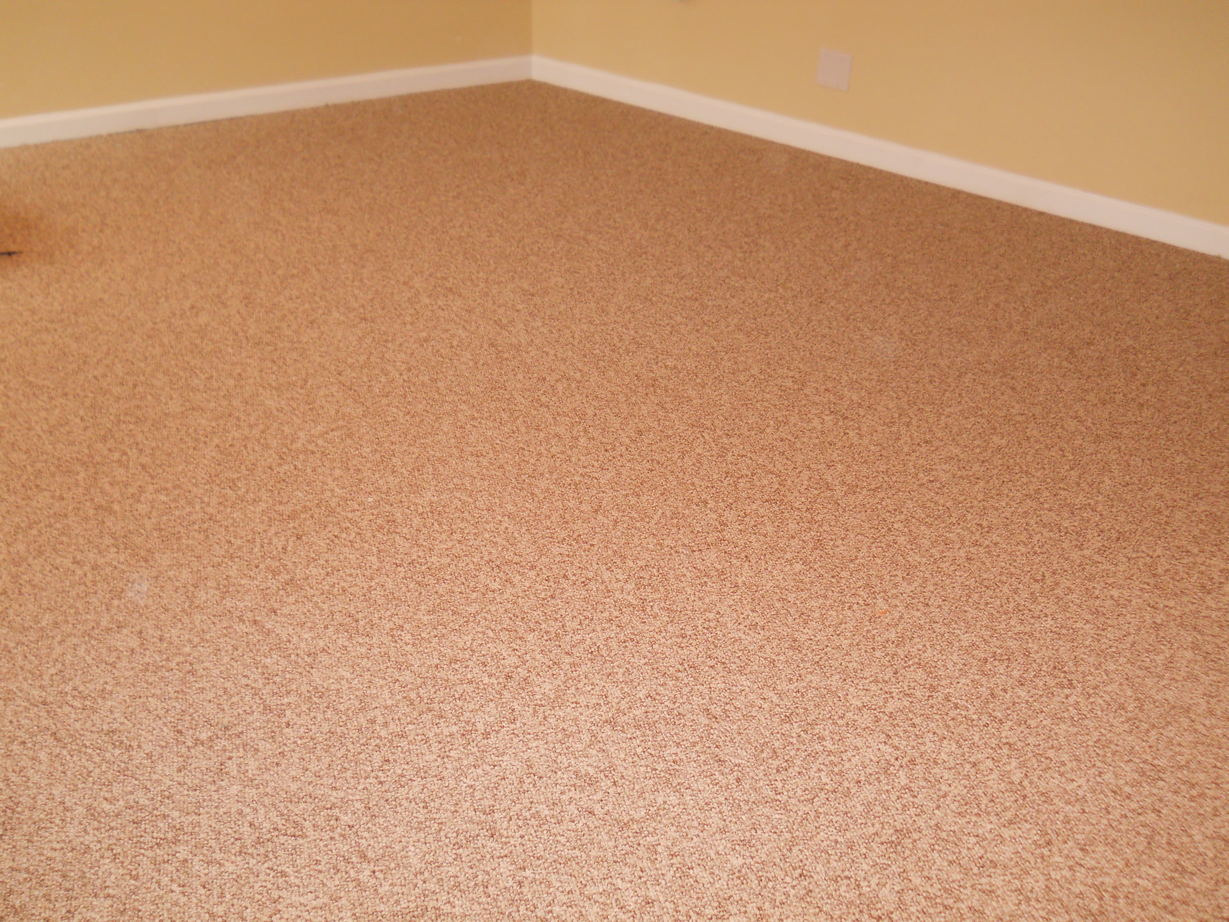 Neutral carpet throughout main floor