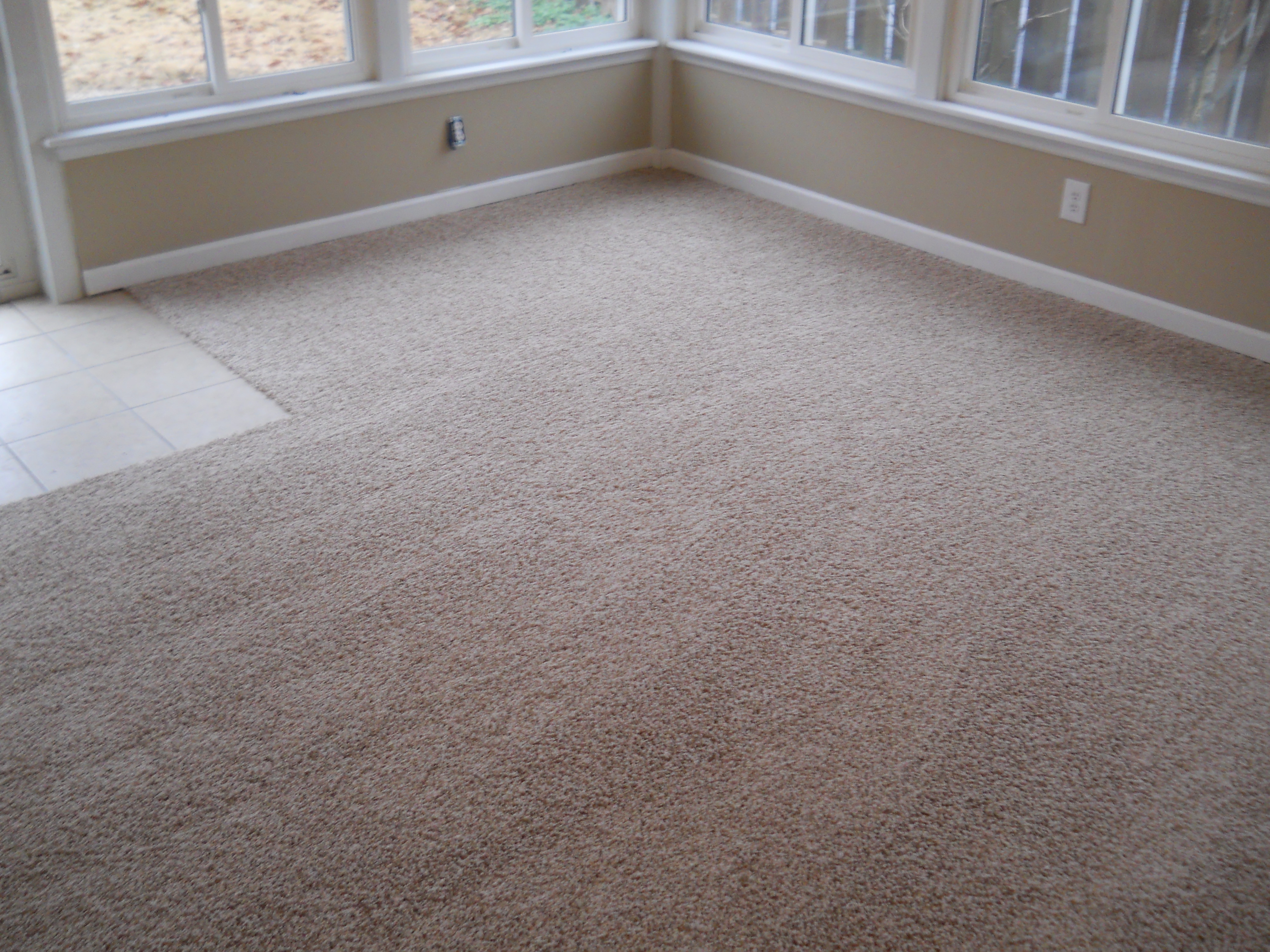 Kahn Full Court carpet living area