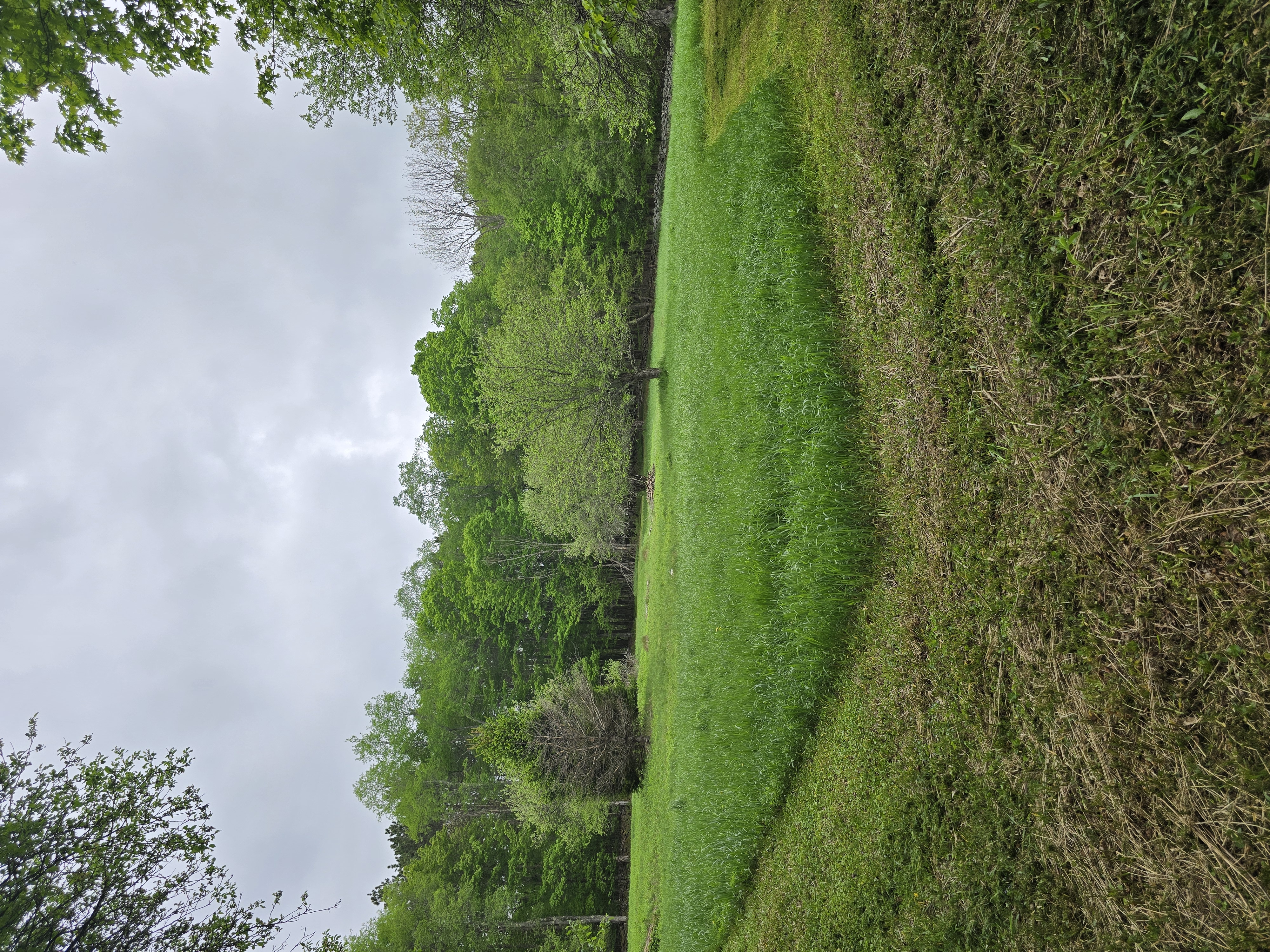 During the grass cutting During the grass cutting