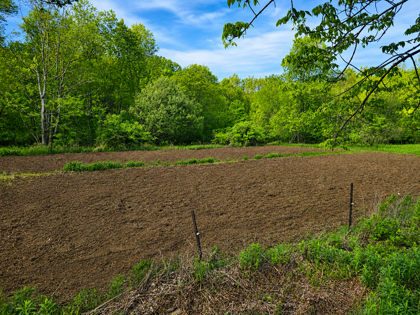 Tilled Garden Tilled Garden