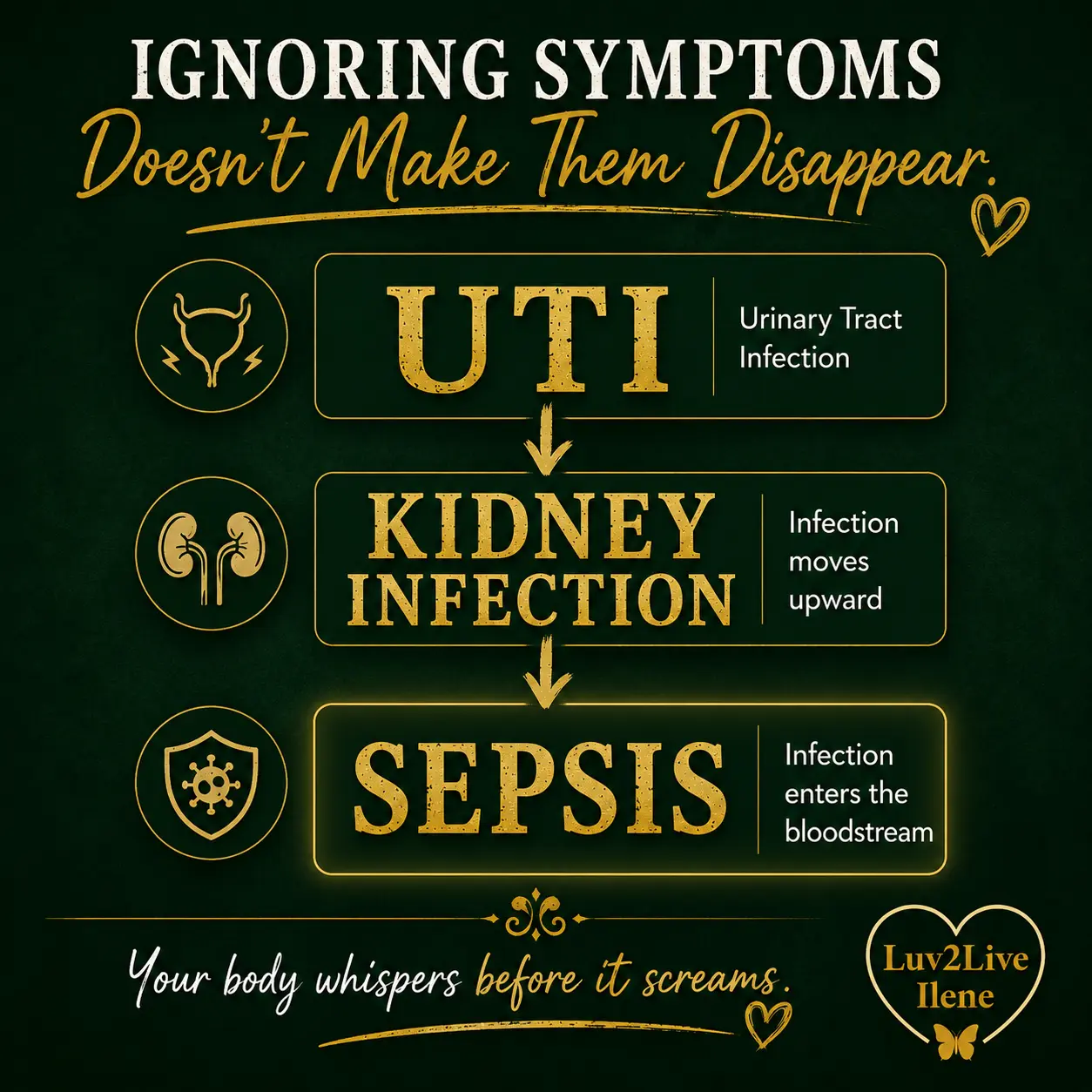 untreated uti can turn into kidney infection into sepsis luv2liveilene