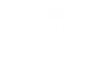 Stevie-Ray business logo