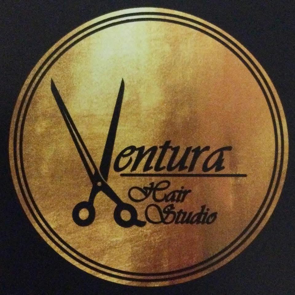 Jenny Ventura business logo
