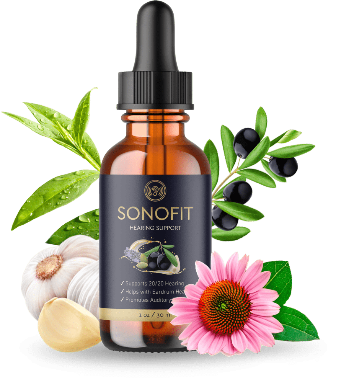sonofit one bottle