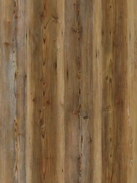 Golden Pine