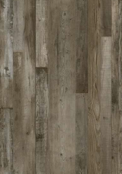 Petrified Forest Lite