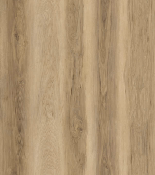 Carolina Hickory
