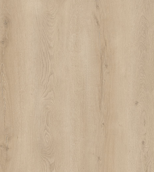 Reina Oak