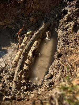 {{ custom_values.service_2 }} in {{custom_values.area_3})