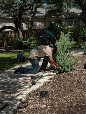 New Sod Install in Spring Branch TX