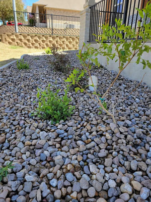 Outdoor Lighting Install in Spring Branch TX