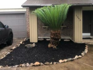 New Sod Install in Spring Branch TX