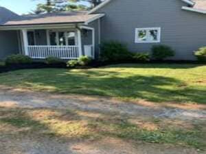 {{ custom_values.service_1 }} in {{custom_values.area_4})