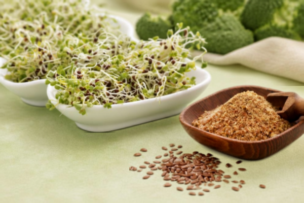 Ground flaxseed, whole flaxseed, and broccoli styled together, foods that support healthy estrogen metabolism through the gut microbiome Ground flaxseed, whole flaxseed, and broccoli styled together, foods that support healthy estrogen metabolism through the gut microbiome