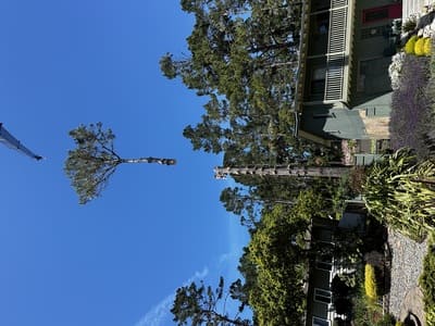 in Carmel, CA