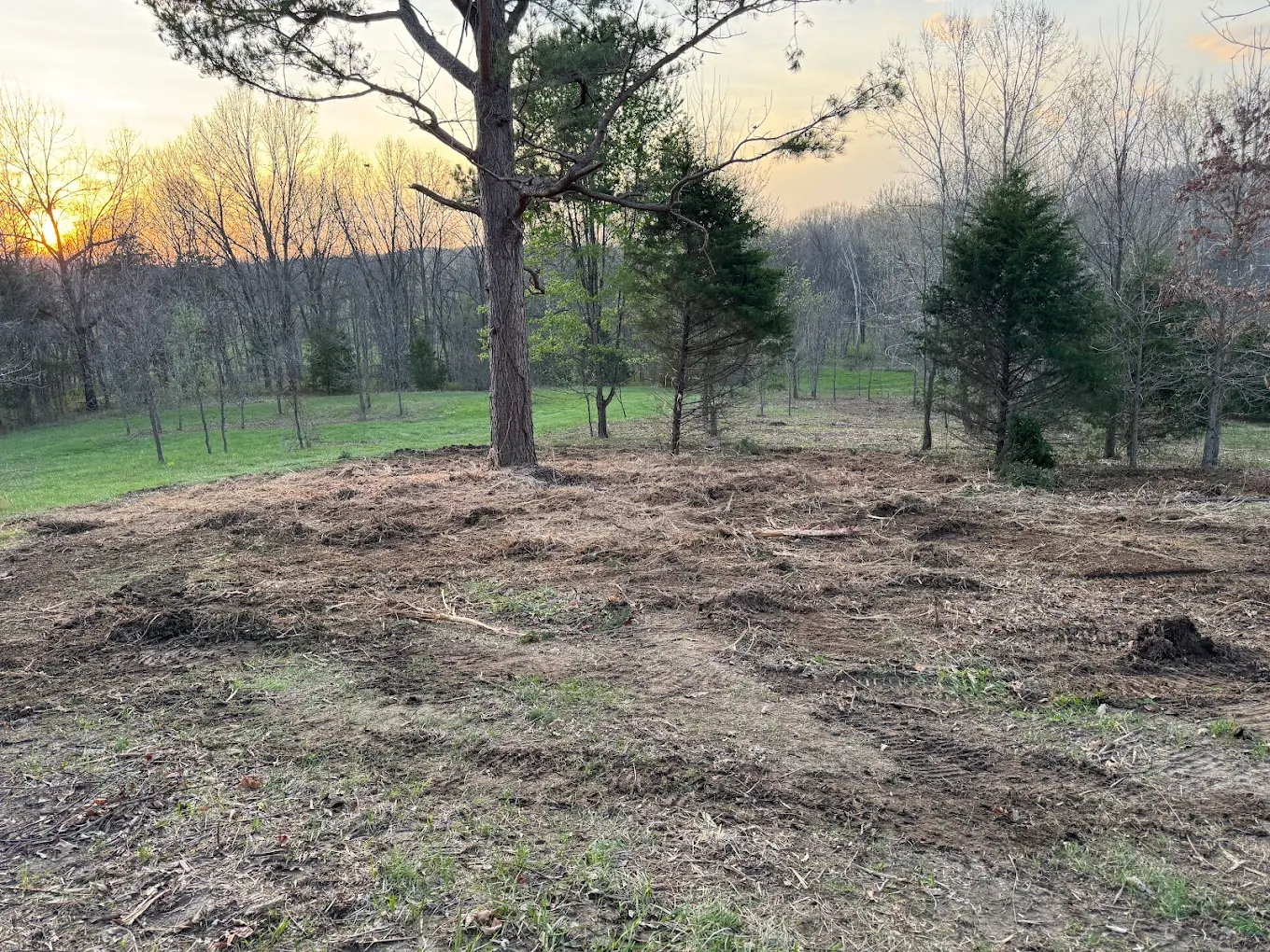 Land clearing work on a wooded property in Eastern Missouri