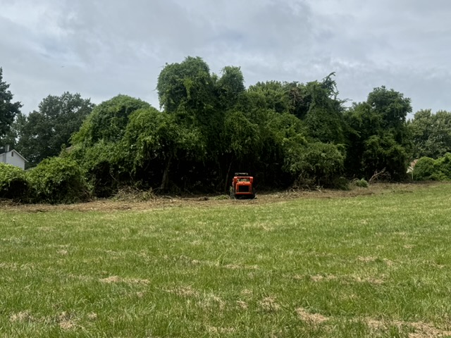 Property Reclamation