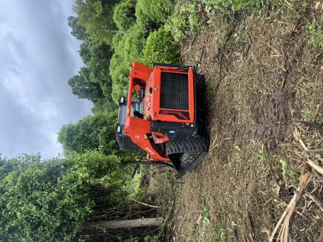 Forestry Mulching