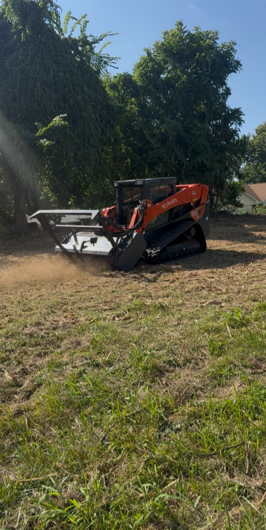 Property after land clearing and mulching
