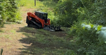 Brush Clearing & Invasive Species Removal