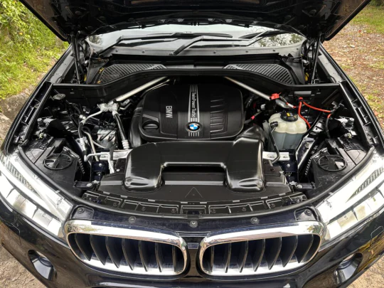 Engine Detailing