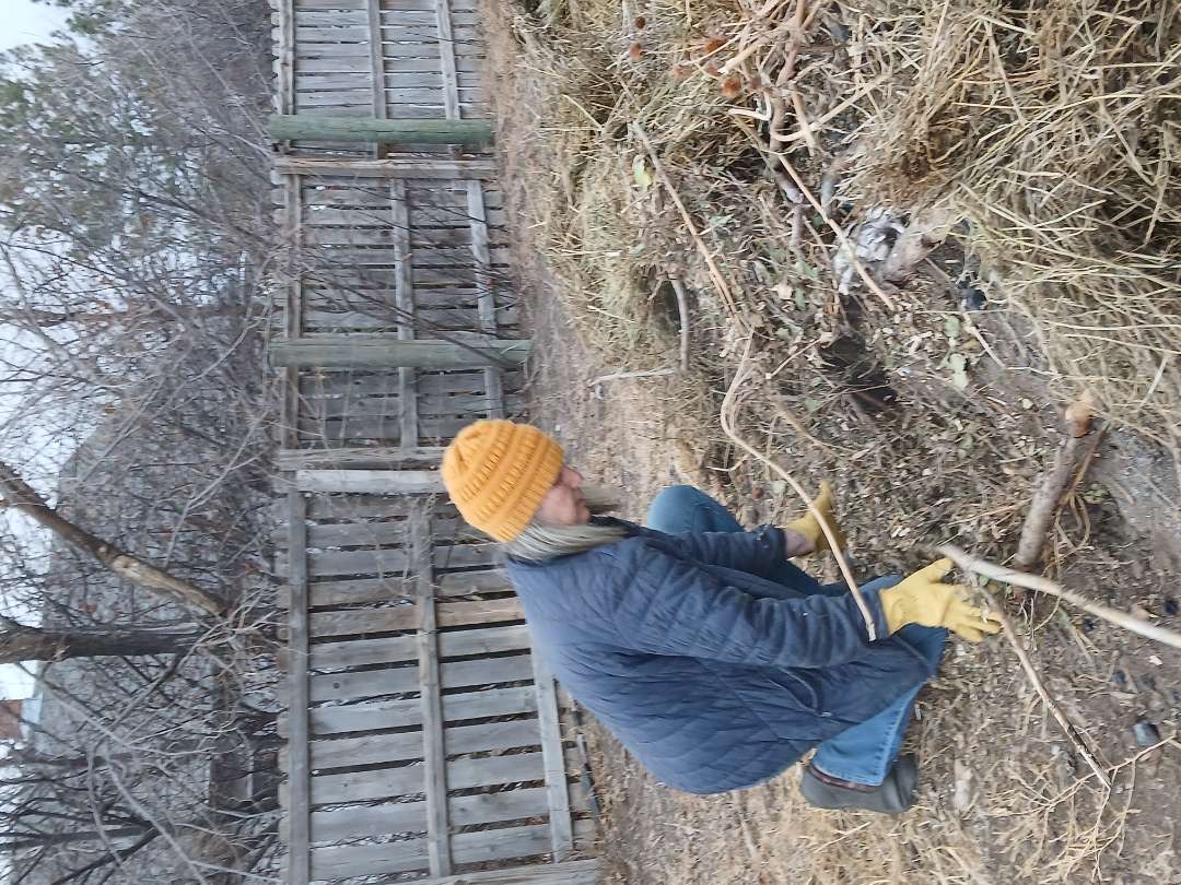 Sarah stacking up the foundation of the Hugelkltur Sarah stacking up the foundation of the Hugelkltur