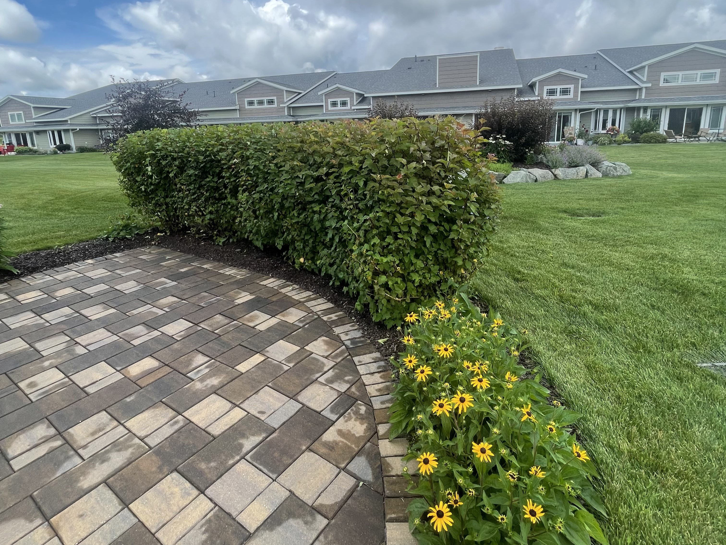 After hedge trimming and landscape cleanup showing neatly shaped bushes and clean garden beds along a brick walkway in Wausau Wisconsin by Mr. Pigs Lawn Care.