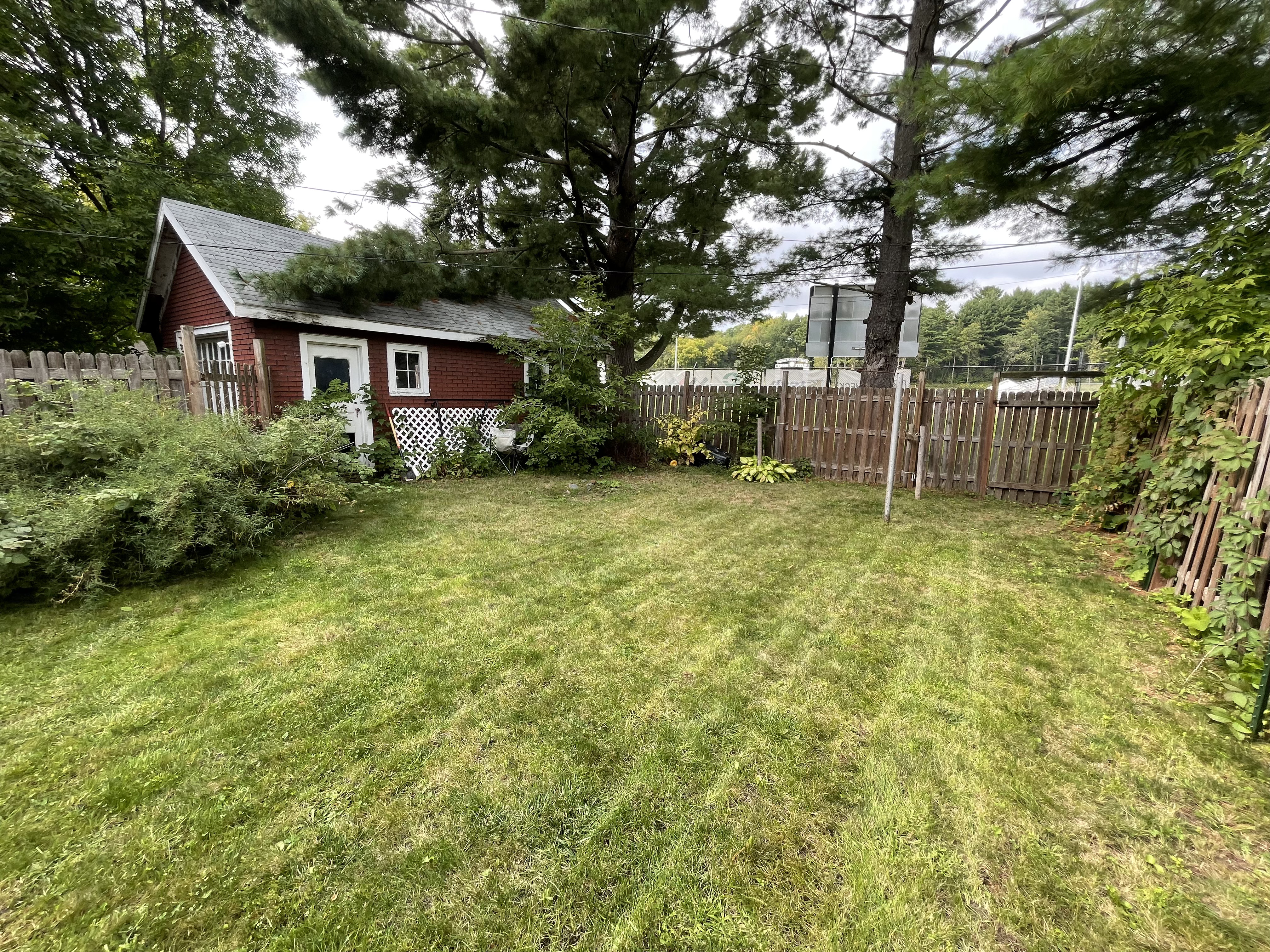 Clean and neatly cut backyard lawn after professional mowing and lawn care by Mr. Pigs Lawn Care.jpg