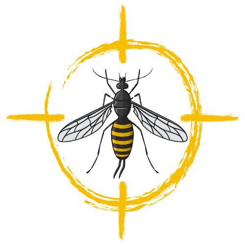How Often Should I Book Pest Control in Brisbane?