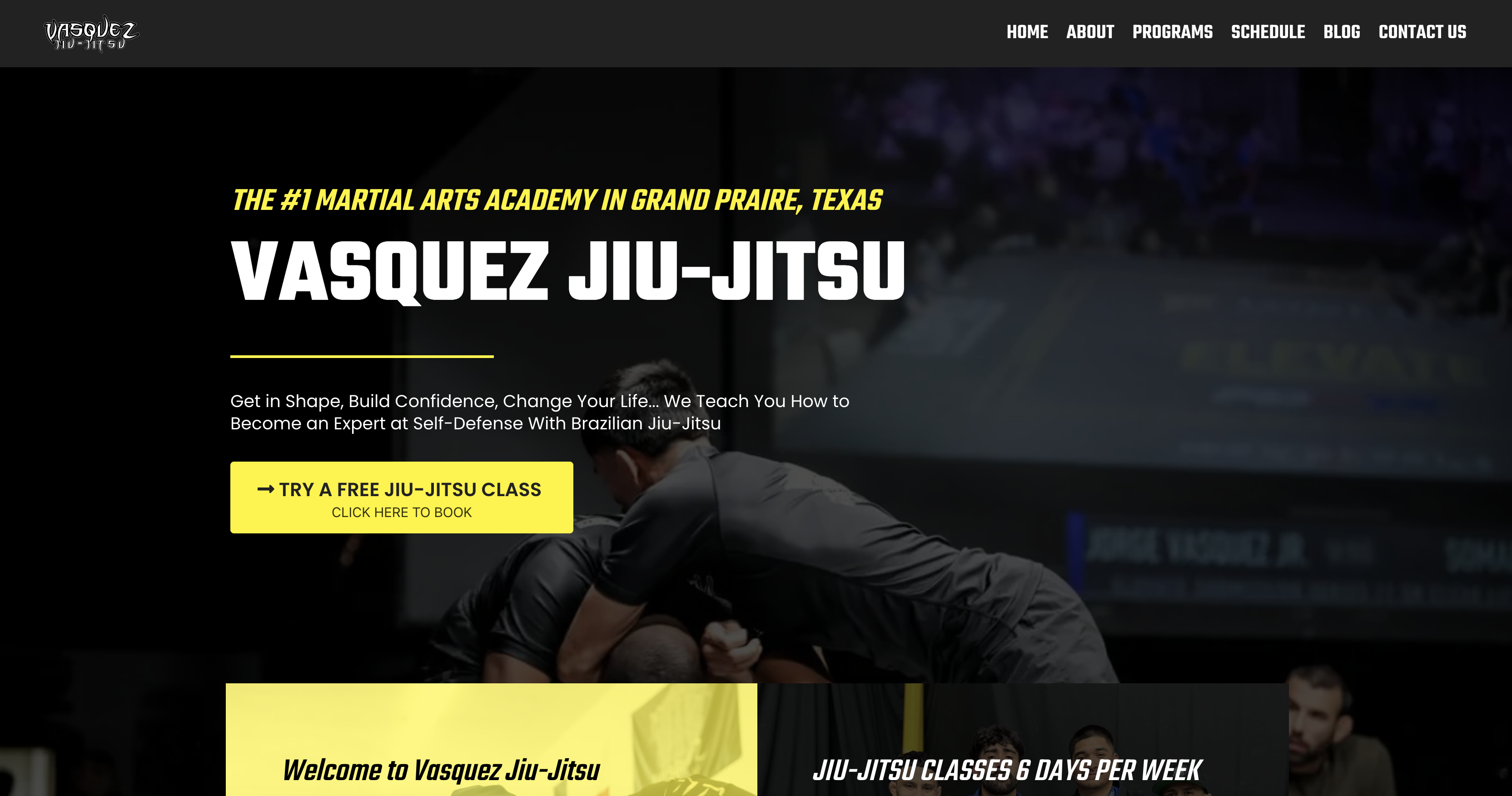 Vasquez Jiu Jitsu