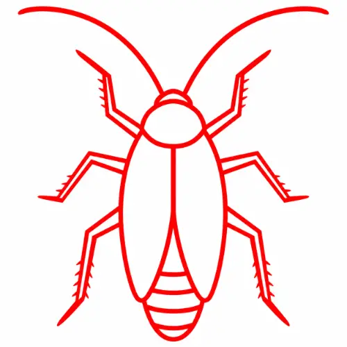 Insectos rastreros
