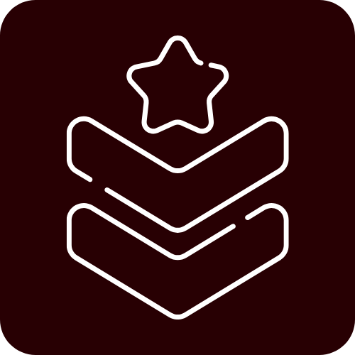 Military and Defense Icon